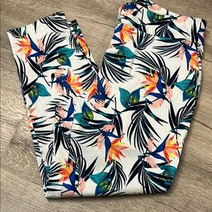 Counterparts Tropical Floral Print Pants SZ 14